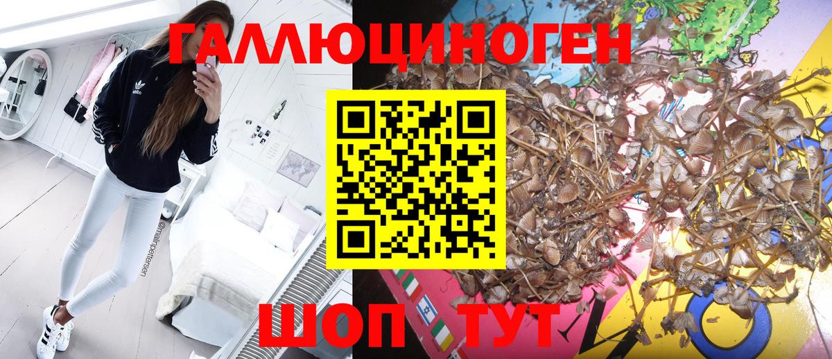 Галлюциногенные грибы Magic Shrooms Сердобск